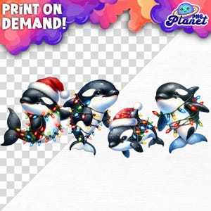 Orca whale Wrapped in Christmas Lights Christmas Orca PNG Christmas Marine Animal Png Christmas Animal Png Killer whale orca png clipart
