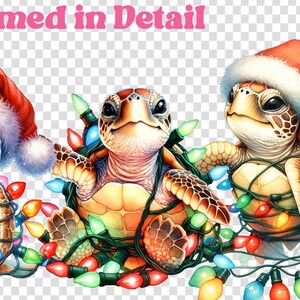 Zeeschildpad kerst PNG Schattige kerstman schildpad sublimatie feestelijke vakantie Digitale download voor shirts mokken Ambachten Stickers en meer afbeelding 4