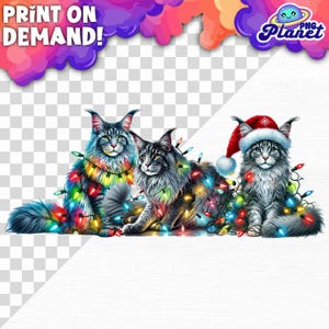 Maine Coon-katten gewikkeld in kerstverlichting, pluizige kerstkatten png, pluizige katten dier png, kerstkatten png, kattenmoeder png