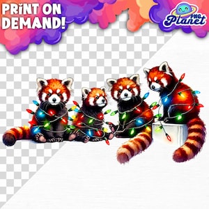 Pandas rojos envueltos en luces navideñas Panda rojo Navidad Pandas rojos bebés PNG Animal navideño Png Panda