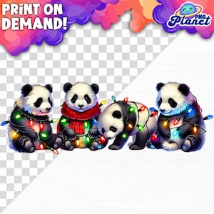 Pandas Envoltos em Luzes de Natal Ursos Panda de Natal PNG Animal de Natal Png Panda de Natal PNG