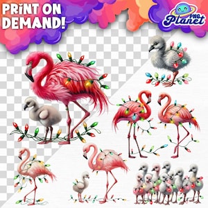Flamingo Family Wrapped in Christmas lights Flamingo PNG Christmas Flamingo Png Christmas DTF Flamingo sublimation Graphic