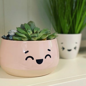 May include: A pink ceramic planter with a smiling face design, holding a succulent plant. The planter has a white rim and a light brown base.