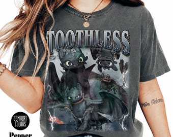 Toothless Dragon Night Fury Shirt,Inspired by Toothless,How to Train Your Dragon Tee,Unisex Graphic Gift FD