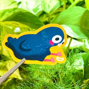 Funny Pigeon Chip Sticker!