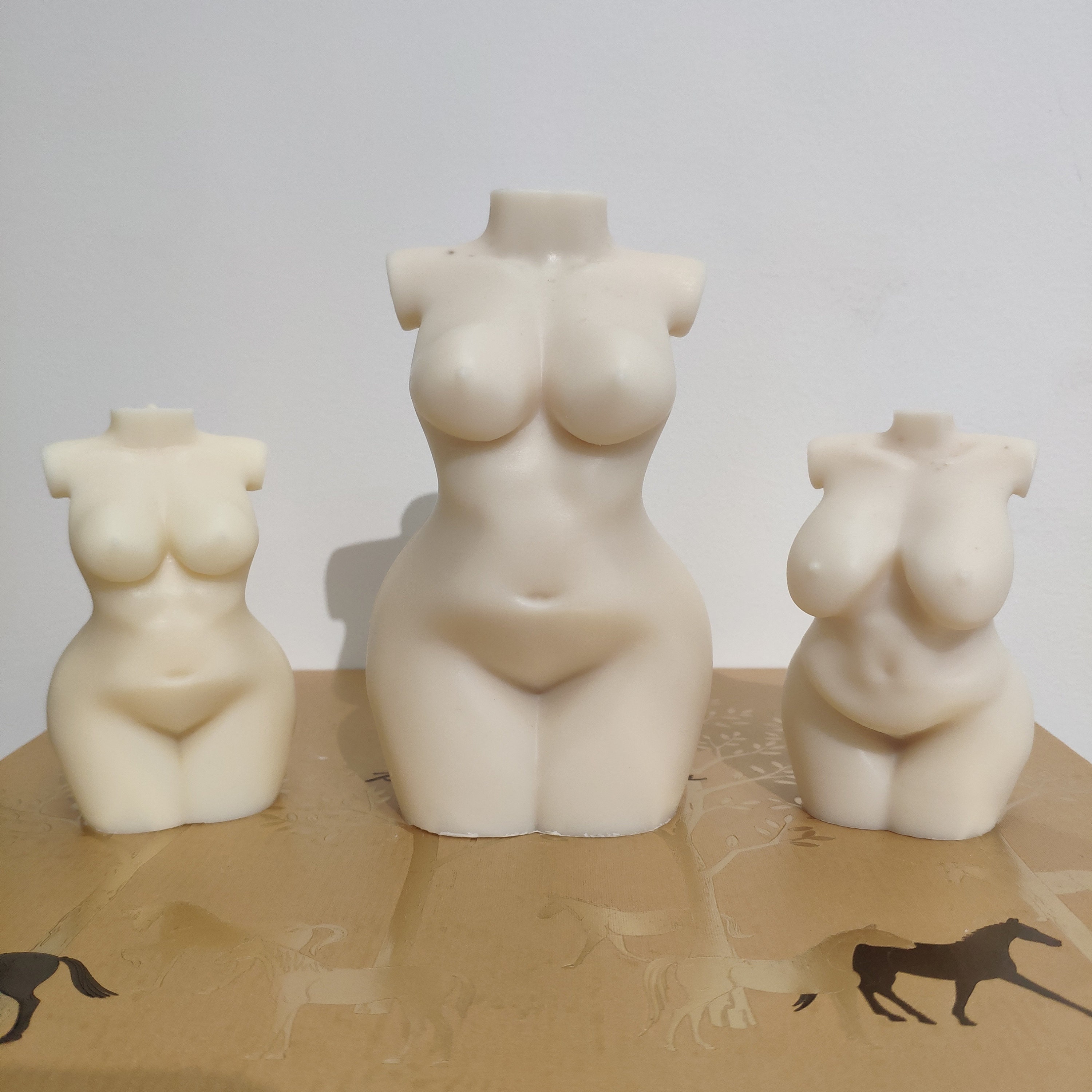 DIY Large Female Torso 3D Silicone Mold,female Curvier Body Torso, Big  Body, Nude, Sexual, Curvy, Breast, Female, Plump Fuller Sexy Woman - Etsy