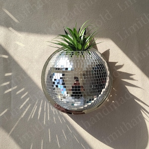 May include: A silver disco ball planter with a green plant growing inside. The planter is mounted on a wall.