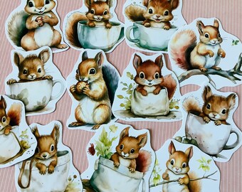 12 Squirrel Stickers