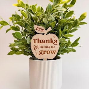 Regalo para el profesor, Regalo de planta para el profesor, Estaca para plantas, Regalo de agradecimiento, Gracias por ayudarme a crecer, Presente para el profesor, Agradecimiento al profesor, Profesor