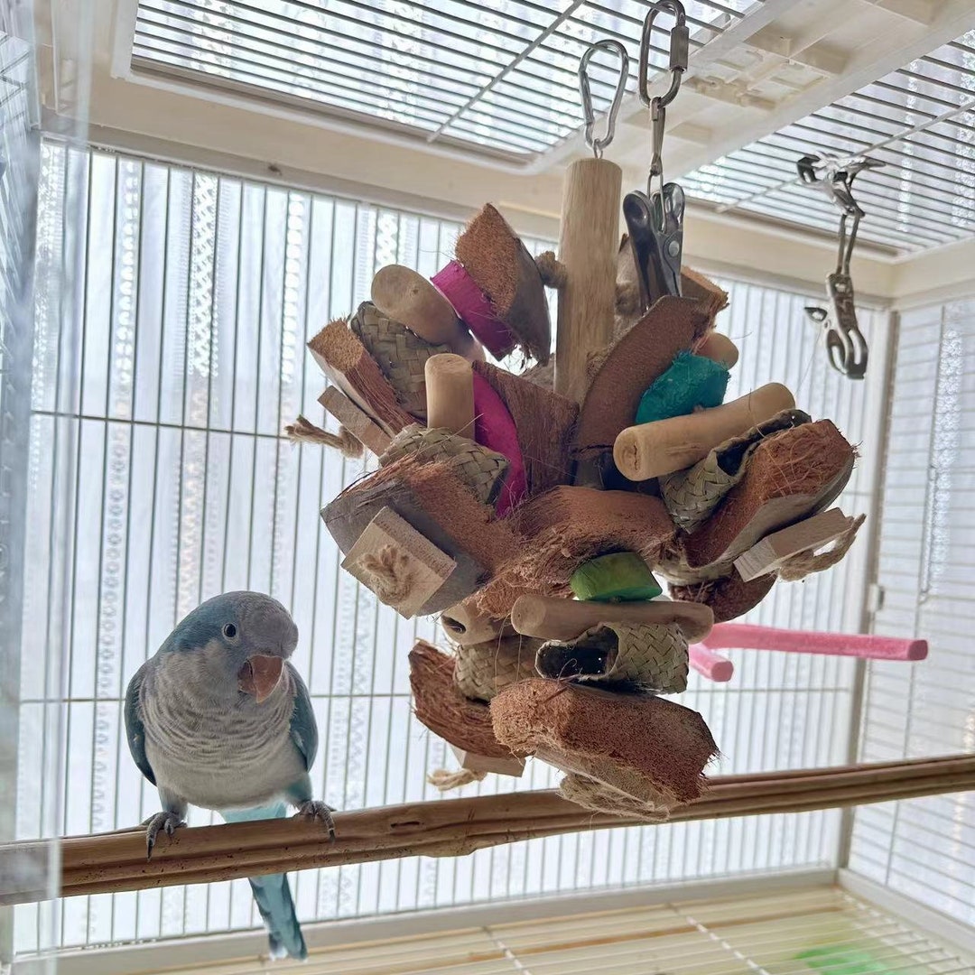 Curated visual reference: Large Parrot Toys Parrot Chew Toys Nature Toys Eco Friendly Photo Inspiration