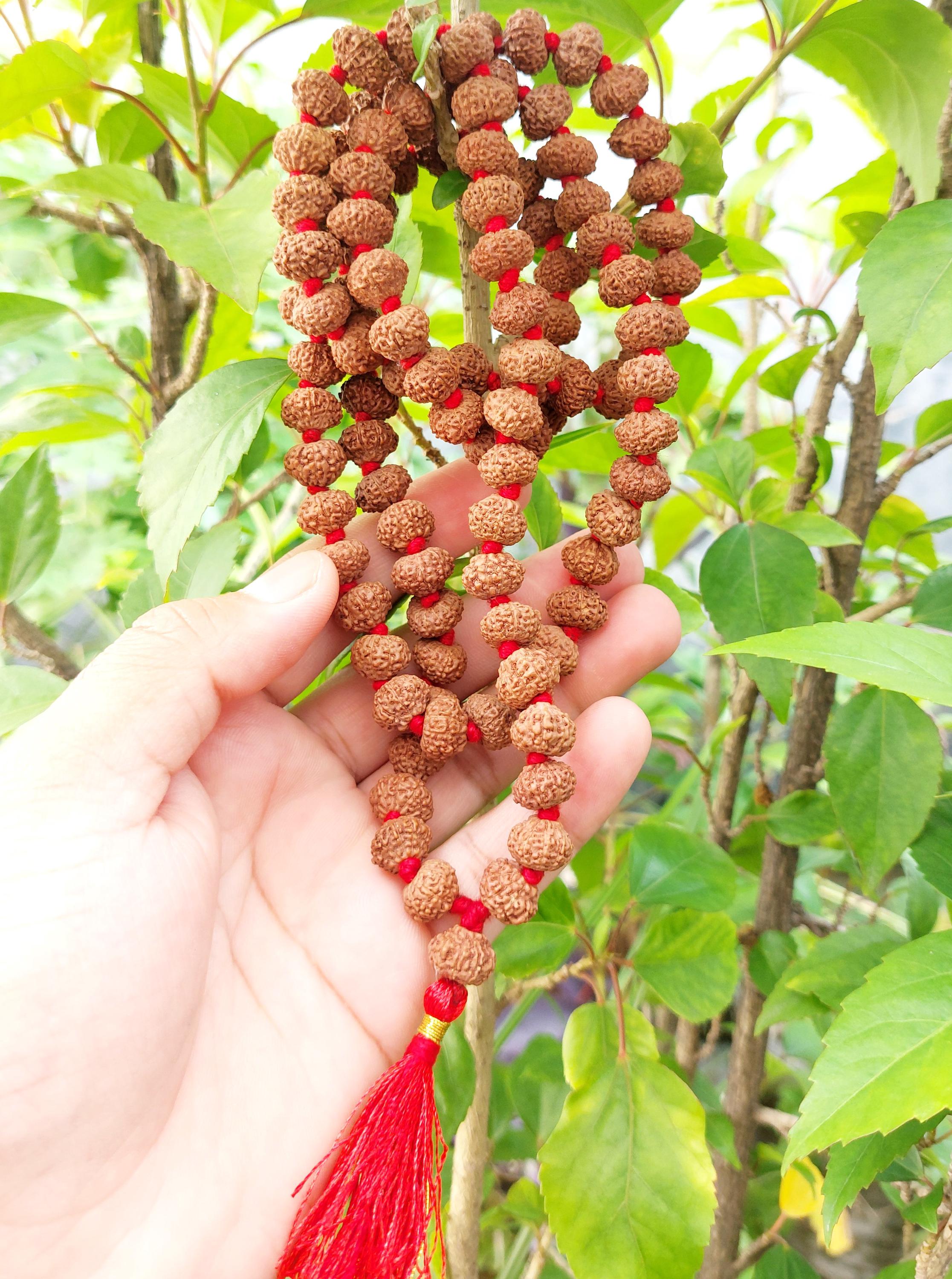 9ムキ(面)ルドラクシャ10mm1連Rudraksha(M) Giri - 9 Mukhi Rudraksha Mala | Japa Mala | Original