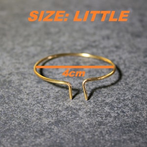 May include: A gold-colored metal ring with a 4 cm diameter. The ring is open at the top and has a V-shaped opening.