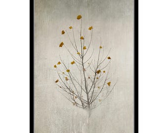 Autumn Leaves Tree Art Print, Minimalist Botanical Wall Decor, Fall Foliage Fine Art Photography