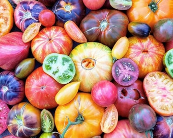 Sale** (1 Ounce 7,500-10,000 Seeds) Heirloom Tomato Mix | Heirloom | Organic