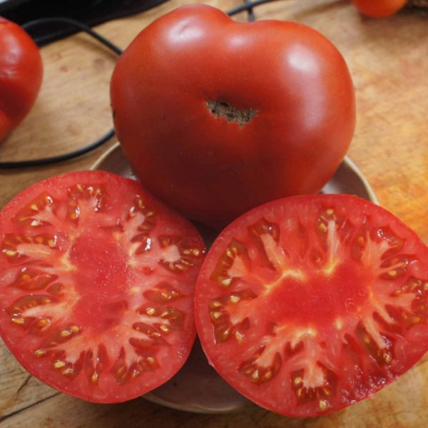 Mark Twain Tomato | Heirloom | Organic