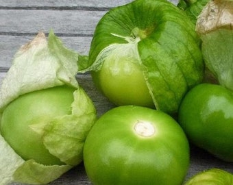 Grande Rio Verde Tomatillo Seeds | Organic