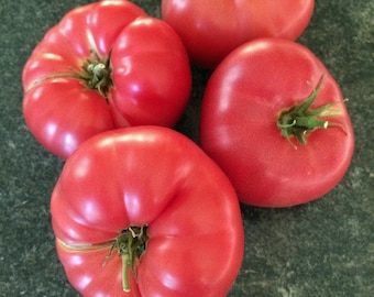 New Big Dwarf Tomato Seeds | Heirloom | Organic