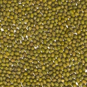 May include: A close-up shot of a pile of mung beans. The beans are small, oval-shaped, and a vibrant green color. They are densely packed together, filling the frame. The background is a light, neutral color, providing contrast to the beans.