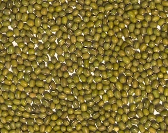 Semillas de frijol mungo germinadas / Heirloom / Orgánicas