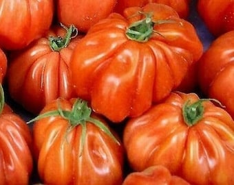 Semillas de tomate Charlie Chaplin / Heirloom / Orgánicas