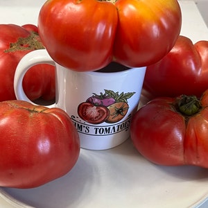 Dester Tomato Seeds | Heirloom | Organic