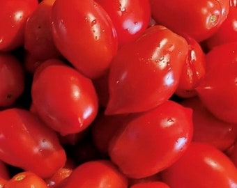 Ropreco Paste Tomato Seeds | Heirloom