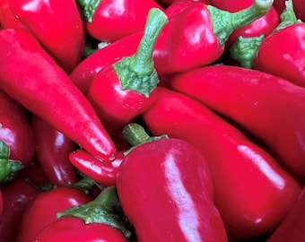 Fresno Pepper Seeds | Hot | Heirloom | Organic