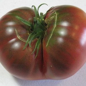 Carbon Tomato Seeds | Heirloom | Organic