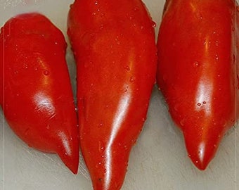 Jersey Devil Tomato Seeds | Heirloom | Organic