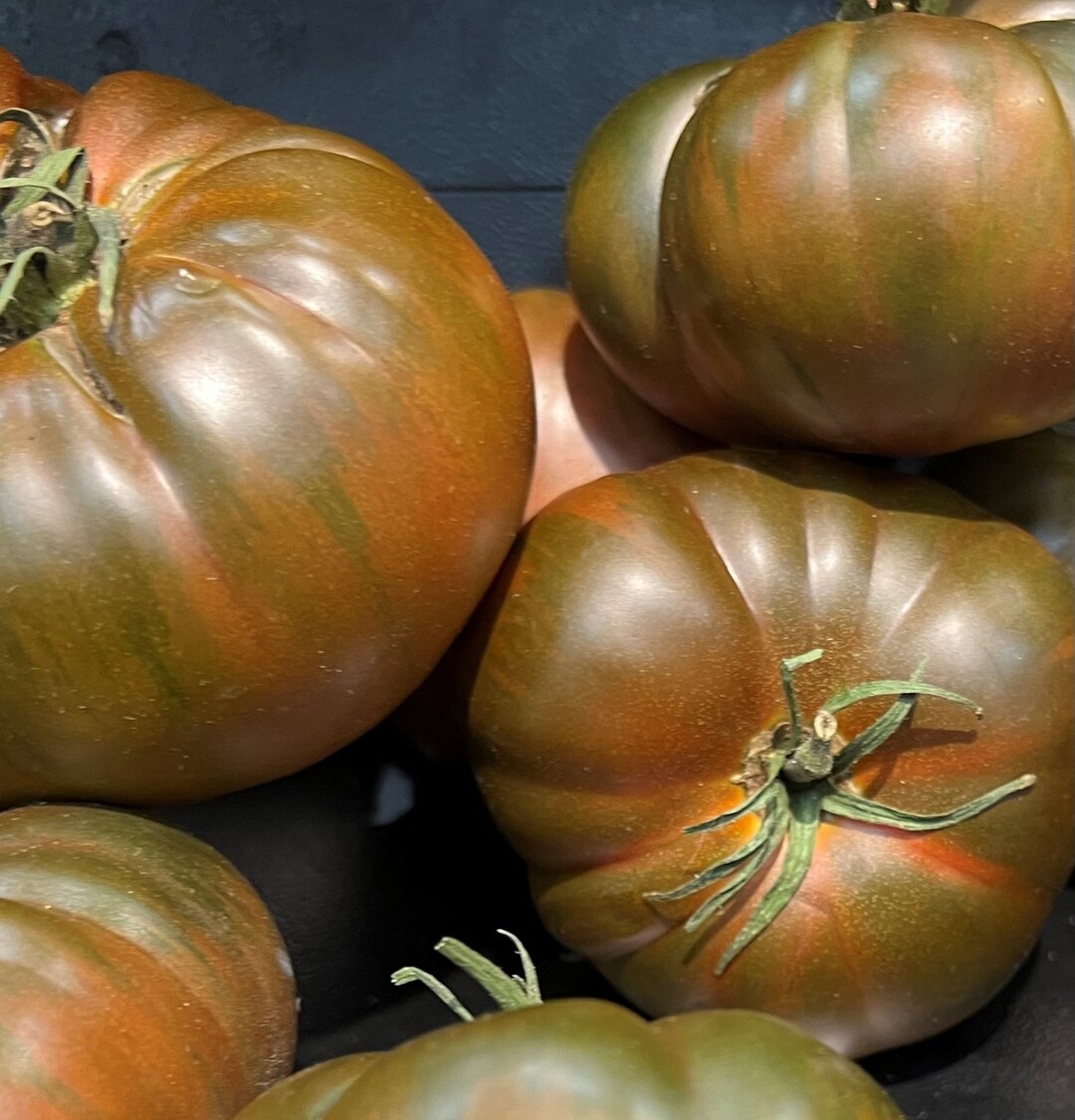 120+ Black From Tula Tomato Seeds - Heirloom, Organic, Non-GMO, Rare Variety