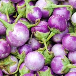 Round Mauve Eggplant Seeds | Organic