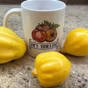 Lemon Squash Seeds