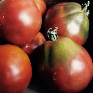 Black Truffle Tomato Seeds  Heirloom | Organic