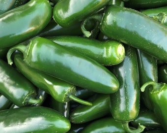 Semillas de pimiento Nadapeno / Orgánico