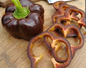 Cioccolato Bellezza Pepe / Dolce / Biologico