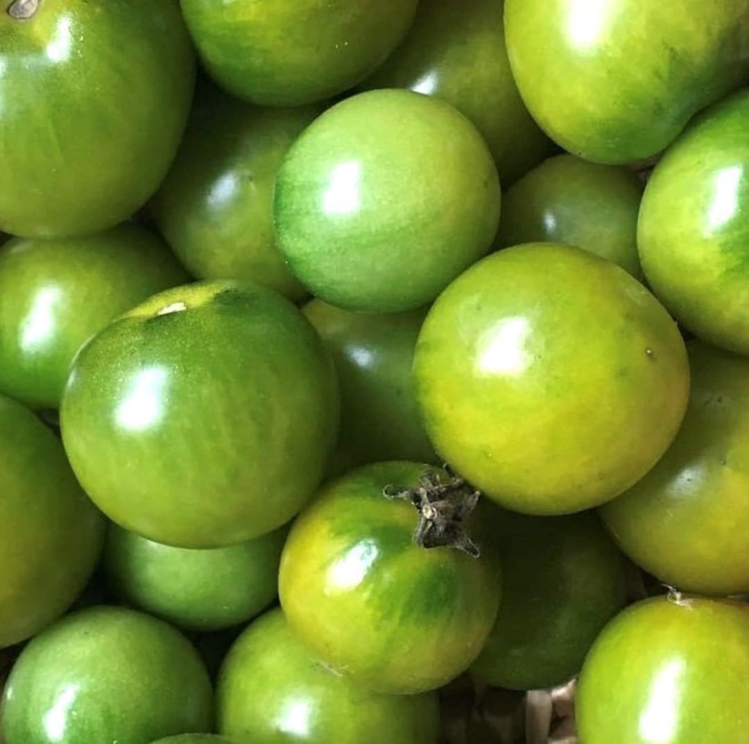 Emerald Green Cherry Tomato Seeds Organic Etsy
