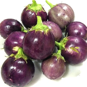 Semi di melanzana viola rotonda / Cimelio / Biologico