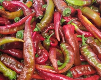 Jimmy Nardello's Pepper Seeds | Sweet | Heirloom | Organic