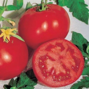 May include: Three red tomatoes, one sliced in half, showing the inside of the tomato with seeds. The tomatoes are on a white surface with green leaves.