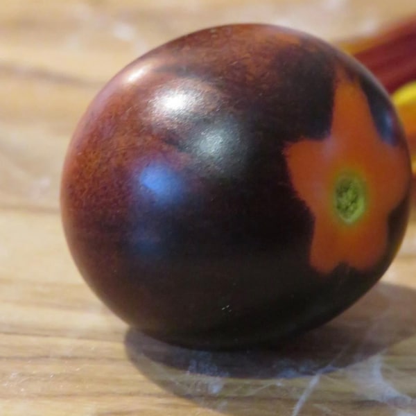 Indigo Cherry Drop Tomato Seeds  | Organic | Open-Pollinated