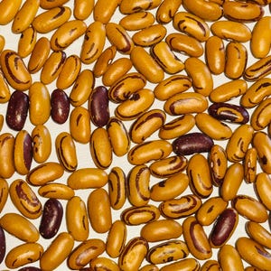Puede incluir: Vista cenital de una colección de frijoles secos. Los frijoles son una mezcla de colores, incluyendo marrón, marrón y morado oscuro. Los frijoles marrones tienen marcas marrones. Los frijoles están esparcidos sobre una superficie clara.