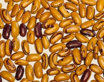 Semillas de frijol ojo de tigre