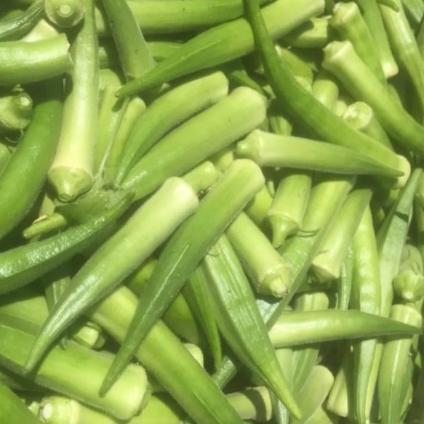 Emerald Okra Seeds | Heirloom | Organic