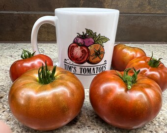 Tasmanian Chocolate Tomato | Organic