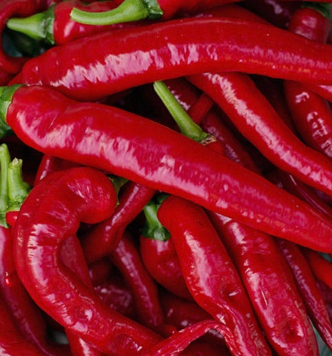 Large Red Thick Cayenne Pepper Seeds | Heirloom | Organic
