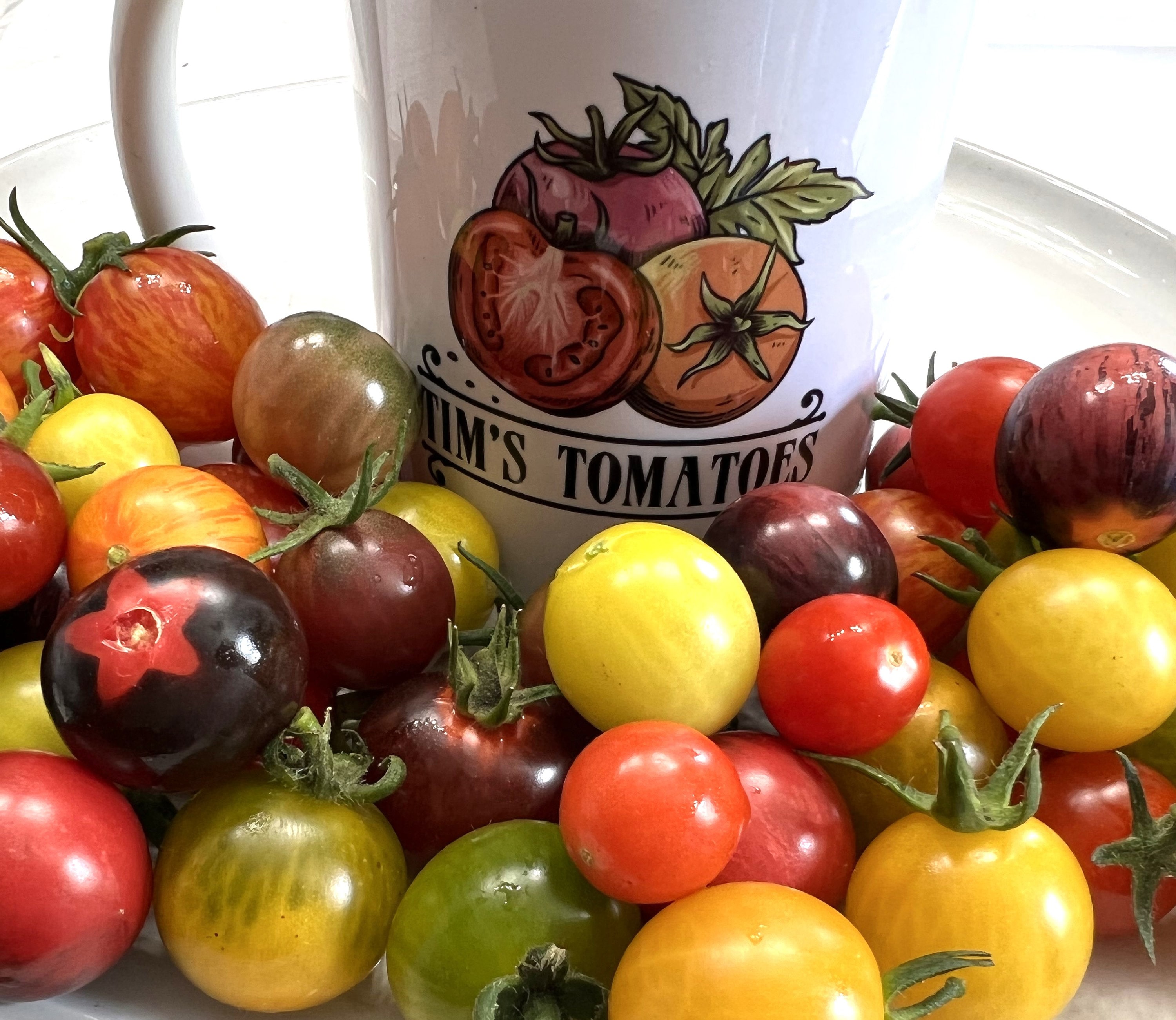 Heirloom Cherry Tomato Mix Heirloom Organic photo photo