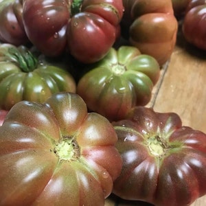 Purple Calabash Tomato Seeds | Heirloom | Organic