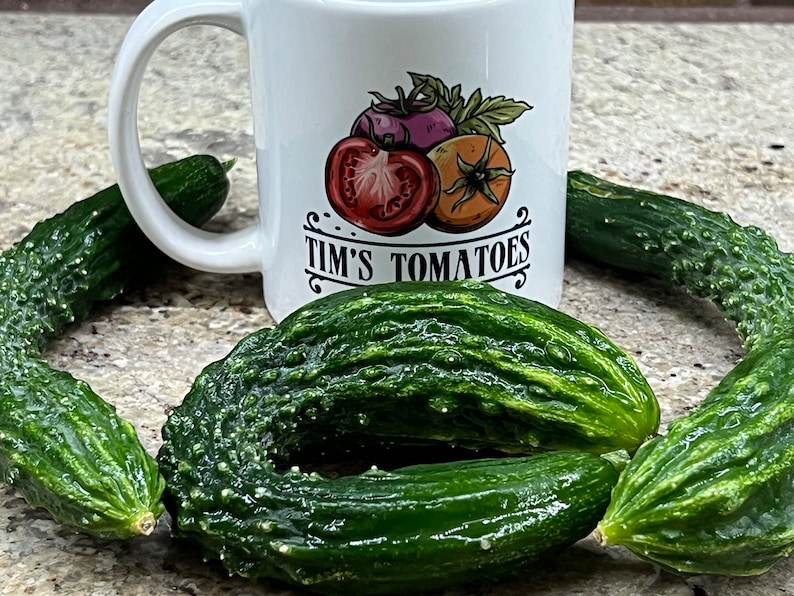 TimsTomatoes Suyo Long Cucumber Seeds - Thumbnail 5