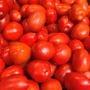 Roma Tomato Seeds | Heirloom | Organic