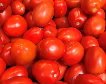 Roma Tomato Seeds | Heirloom | Organic
